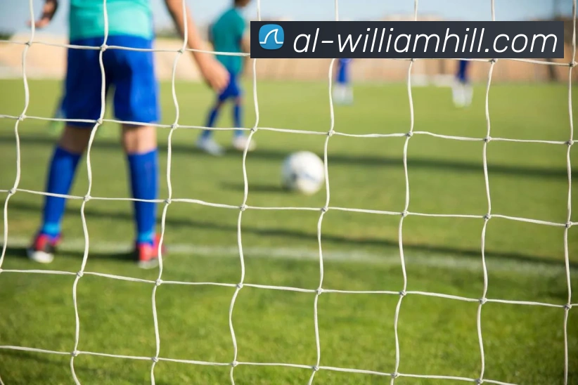 BETWAY必威官网平台生态图